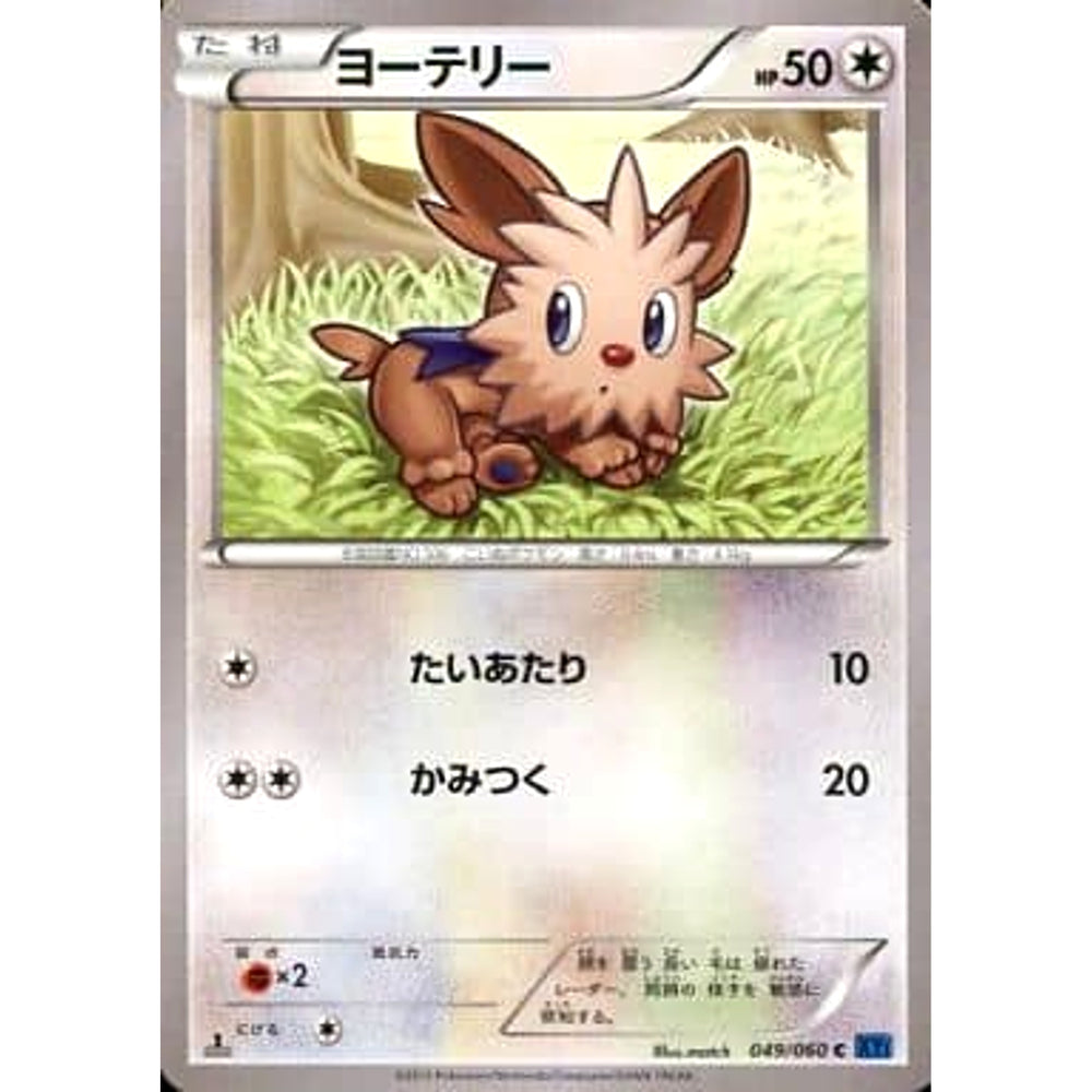 ヨーテリー 049/060 [C] XY1 無 ポケモンカードゲームXY 拡張パック コレクションX