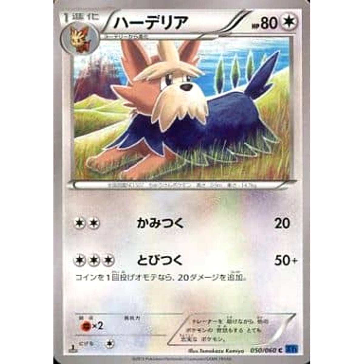 ハーデリア 050/060 [C] XY1 無 ポケモンカードゲームXY 拡張パック コレクションX