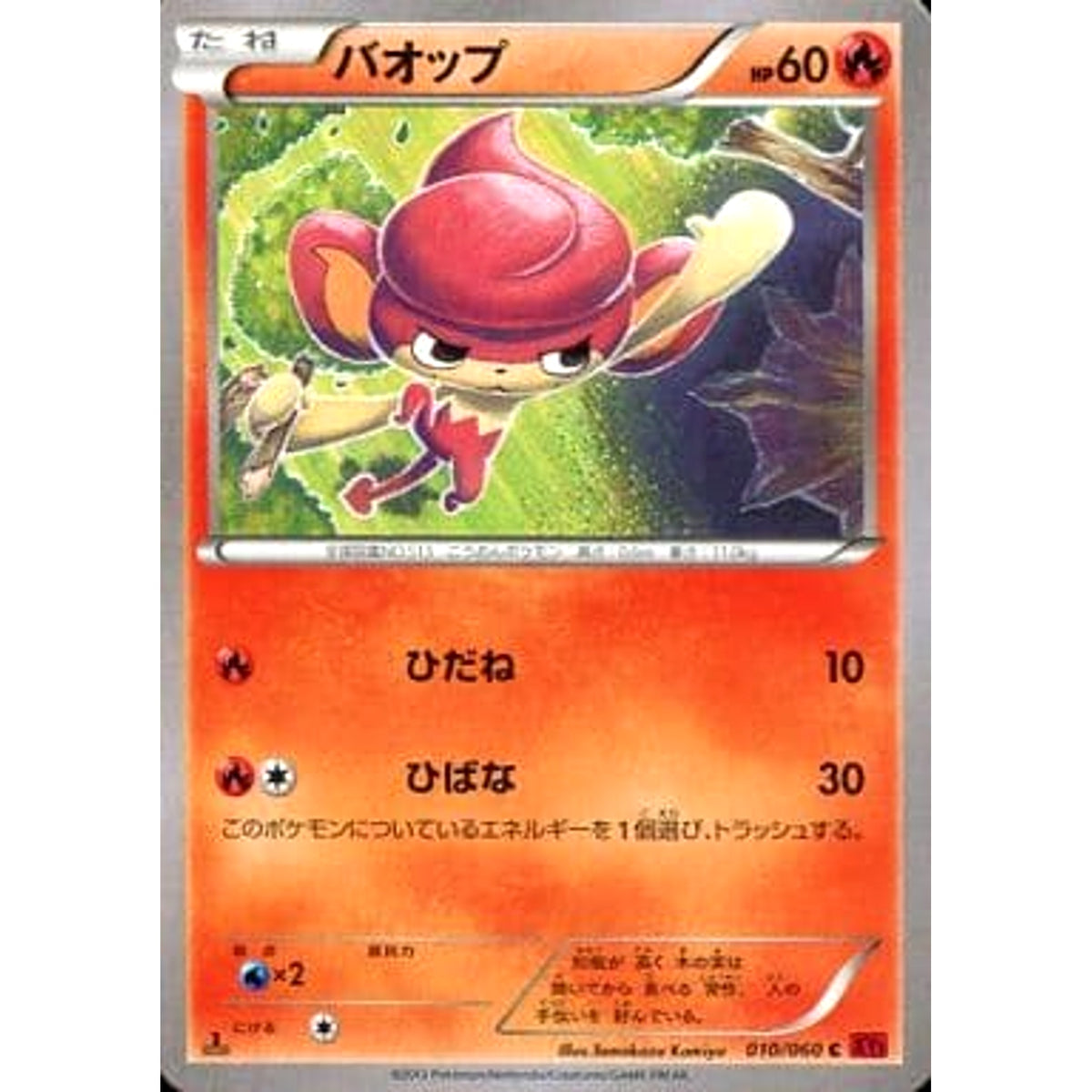 バオップ 010/060 [C] XY1 炎 ポケモンカードゲームXY 拡張パック コレクションY