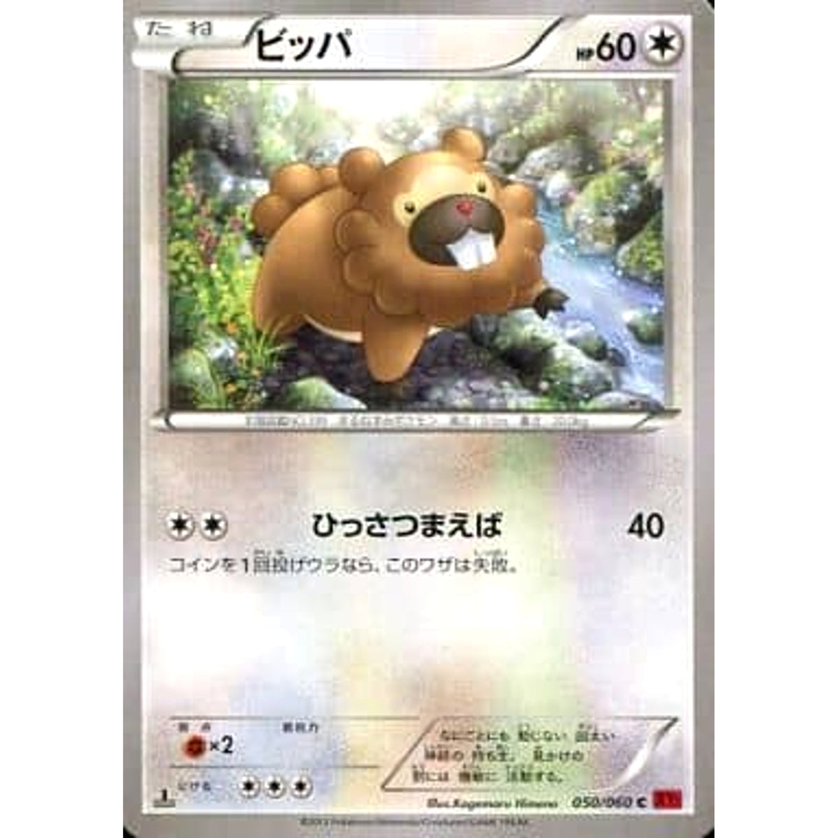 ビッパ 050/060 [C] XY1 無 ポケモンカードゲームXY 拡張パック コレクションY