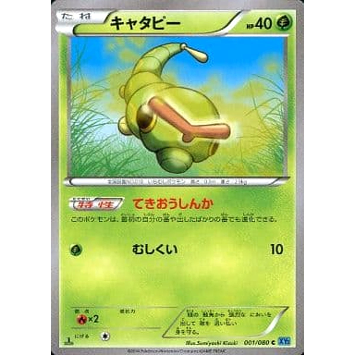 キャタピー 001/080 [C] XY2 草 ポケモンカードゲームXY 拡張パック ワイルドブレイズ