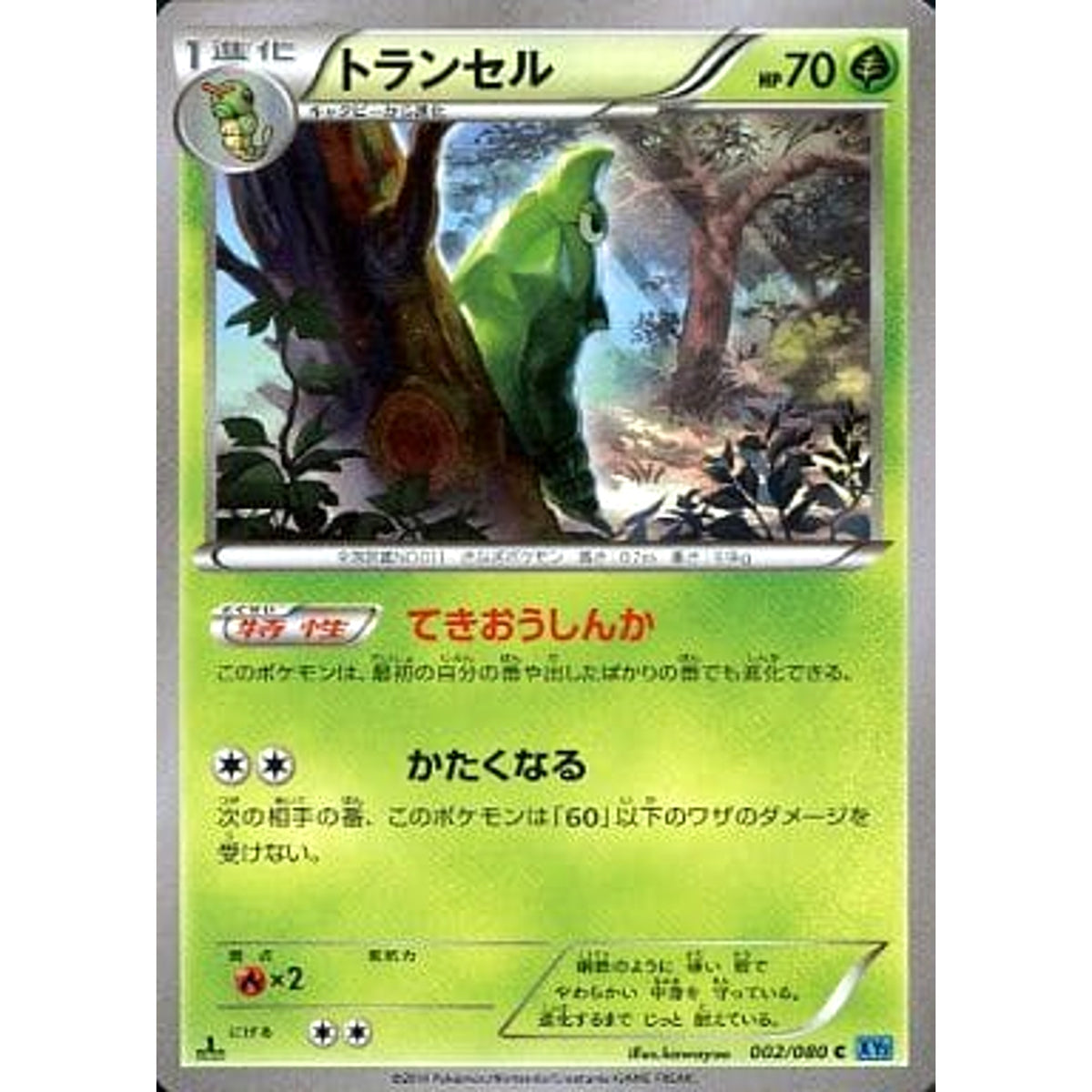 トランセル 002/080 [C] XY2 草 ポケモンカードゲームXY 拡張パック ワイルドブレイズ