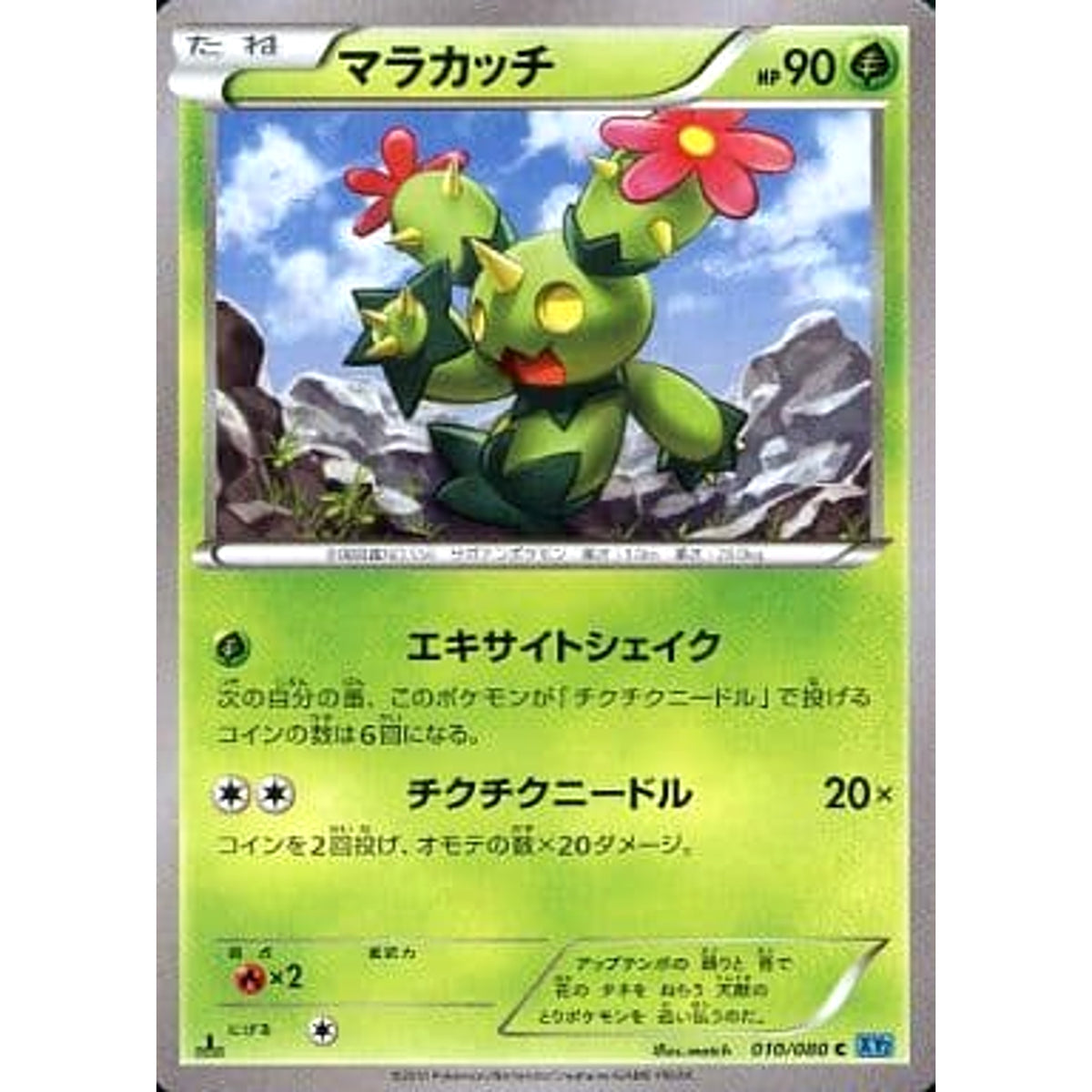マラカッチ 010/080 [C] XY2 草 ポケモンカードゲームXY 拡張パック ワイルドブレイズ