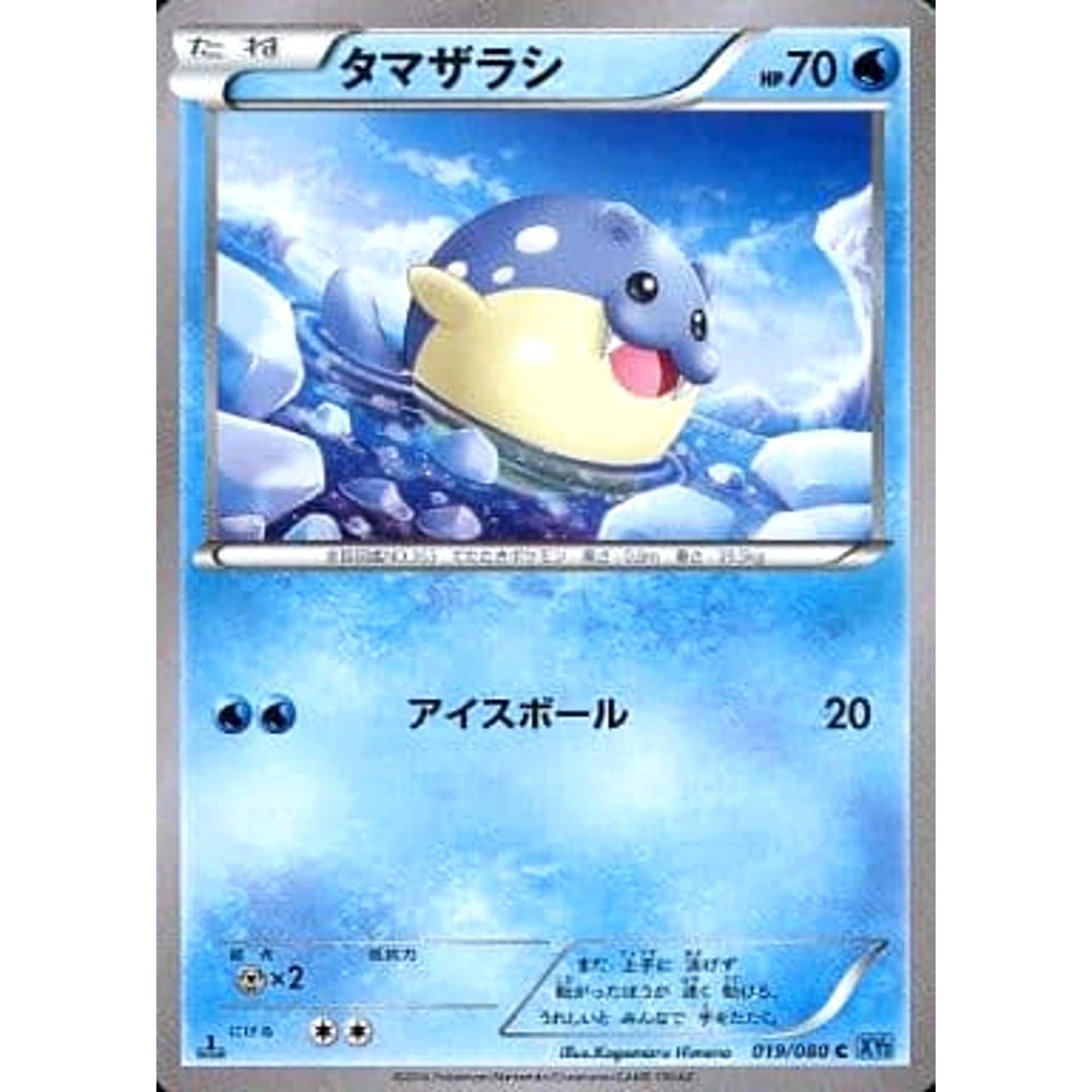 タマザラシ 019/080 [C] XY2 水 ポケモンカードゲームXY 拡張パック ワイルドブレイズ