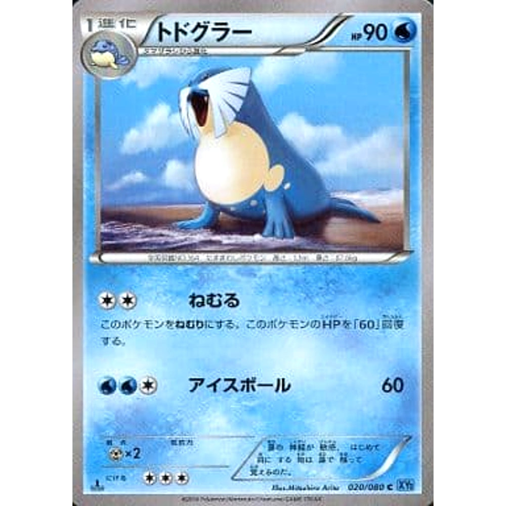 トドグラー 020/080 [C] XY2 水 ポケモンカードゲームXY 拡張パック ワイルドブレイズ