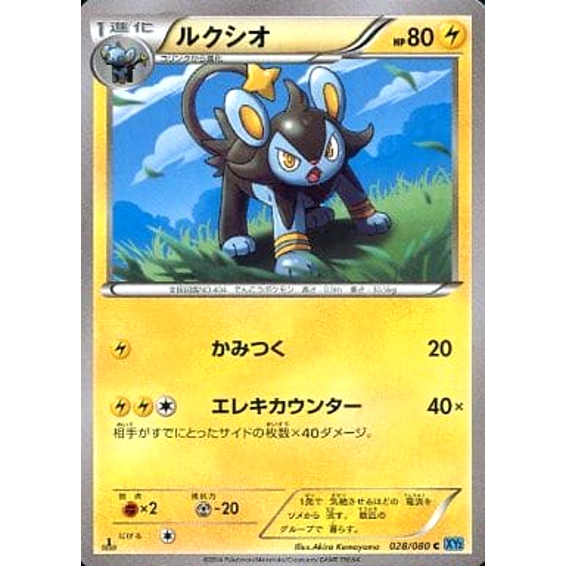 ルクシオ 028/080 [C] XY2 雷 ポケモンカードゲームXY 拡張パック ワイルドブレイズ