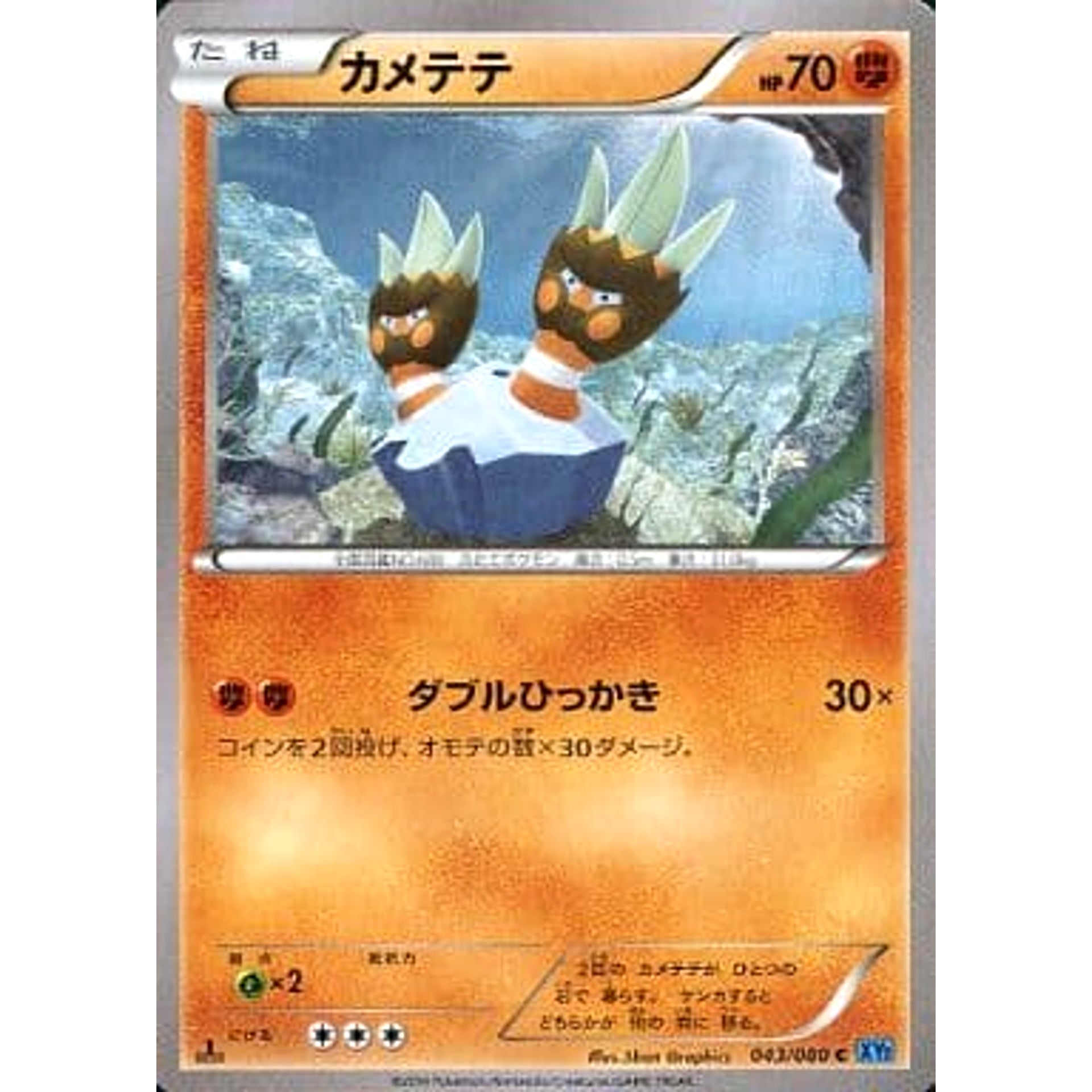 カメテテ 043/080 [C] XY2 闘 ポケモンカードゲームXY 拡張パック ワイルドブレイズ