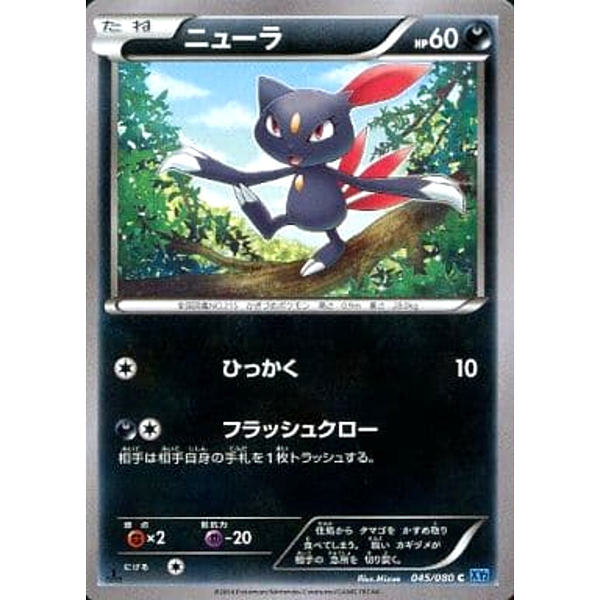 ニューラ 045/080 [C] XY2 悪 ポケモンカードゲームXY 拡張パック ワイルドブレイズ