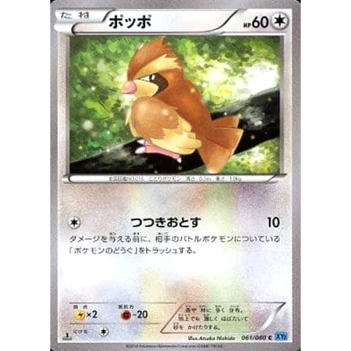 ポッポ 061/080 [C] XY2 無 ポケモンカードゲームXY 拡張パック ワイルドブレイズ