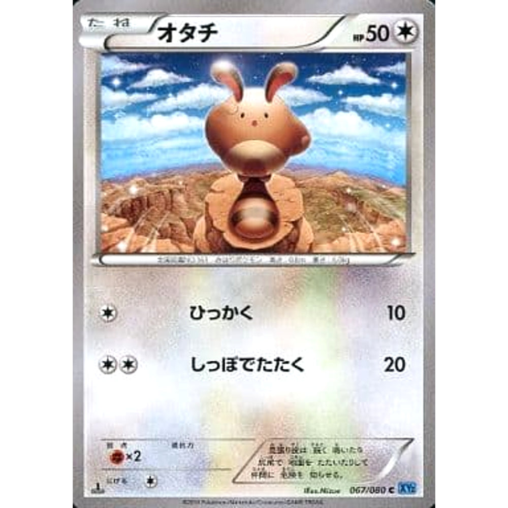 オタチ 067/080 [C] XY2 無 ポケモンカードゲームXY 拡張パック ワイルドブレイズ