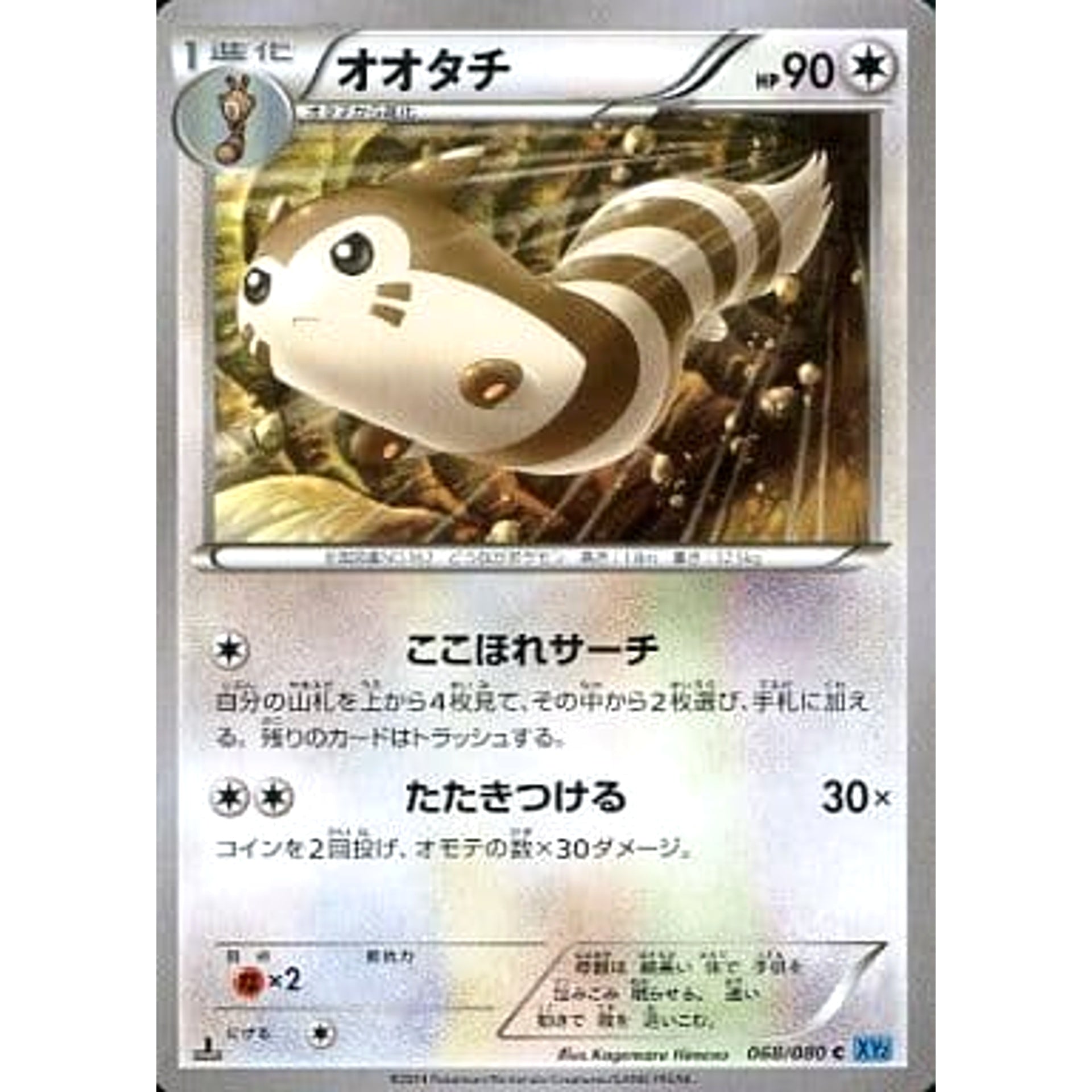 オオタチ 068/080 [C] XY2 無 ポケモンカードゲームXY 拡張パック ワイルドブレイズ