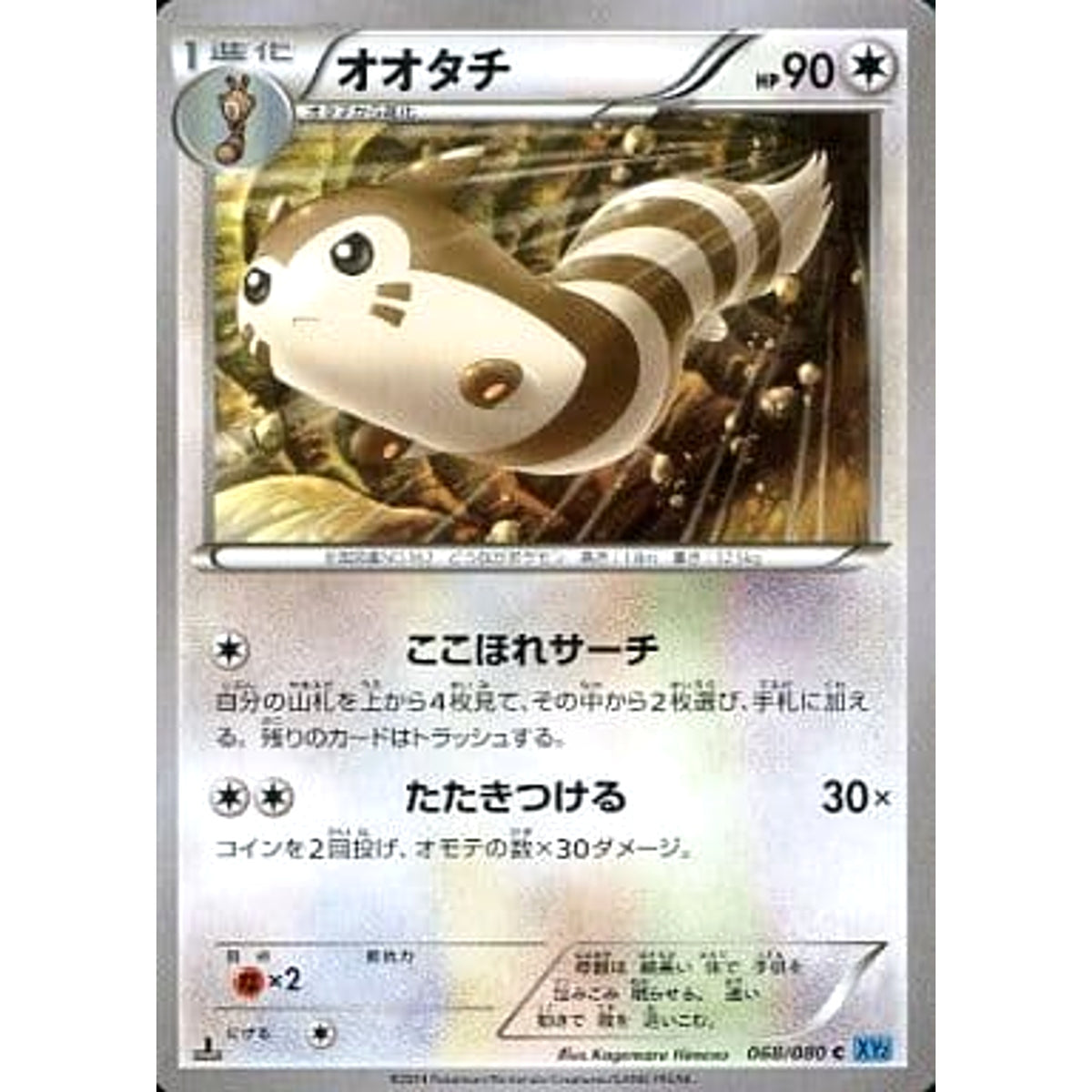 オオタチ 068/080 [C] XY2 無 ポケモンカードゲームXY 拡張パック ワイルドブレイズ