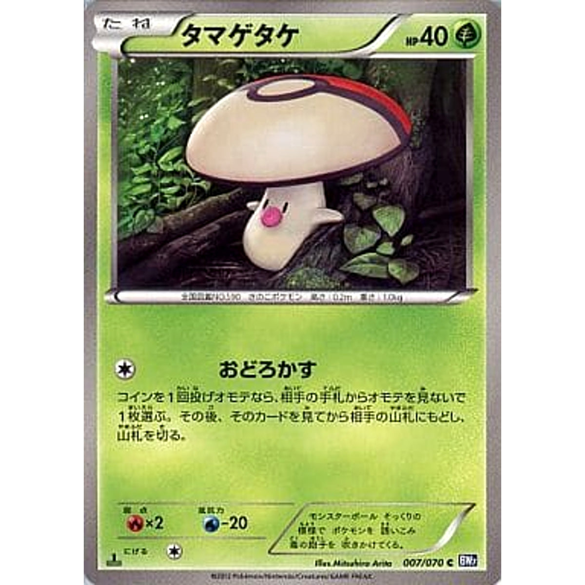 タマゲタケ 007/070 [C] BW7 草 ポケモンカードゲームBW 拡張パック プラズマゲイル