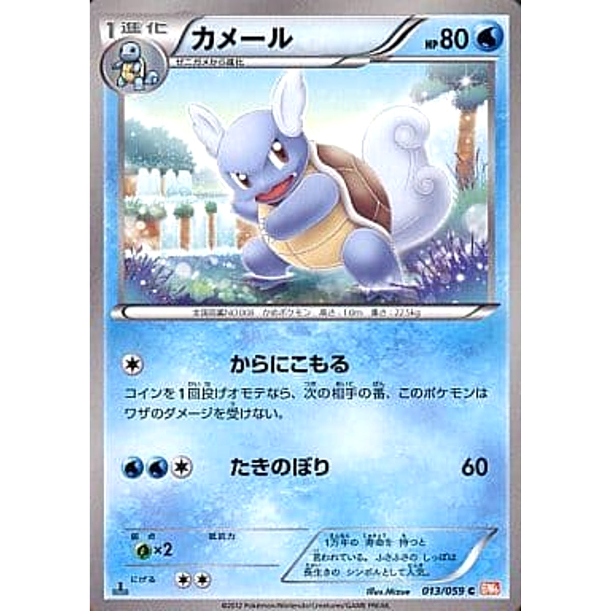 カメール 013/059 [C] BW6 水 ポケモンカードゲームBW 拡張パック コールドフレア