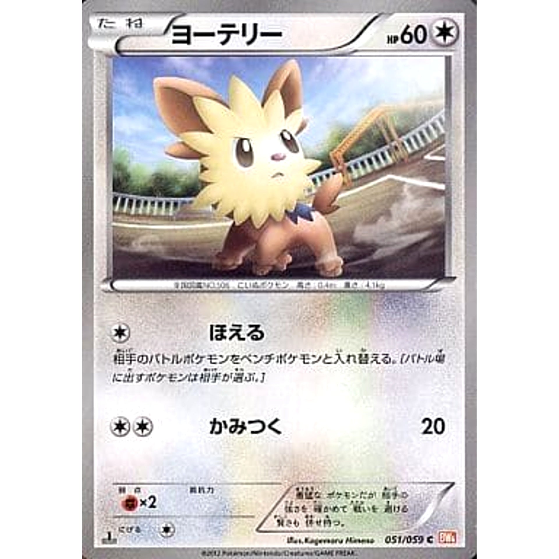 ヨーテリー 051/059 [C] BW6 無 ポケモンカードゲームBW 拡張パック コールドフレア