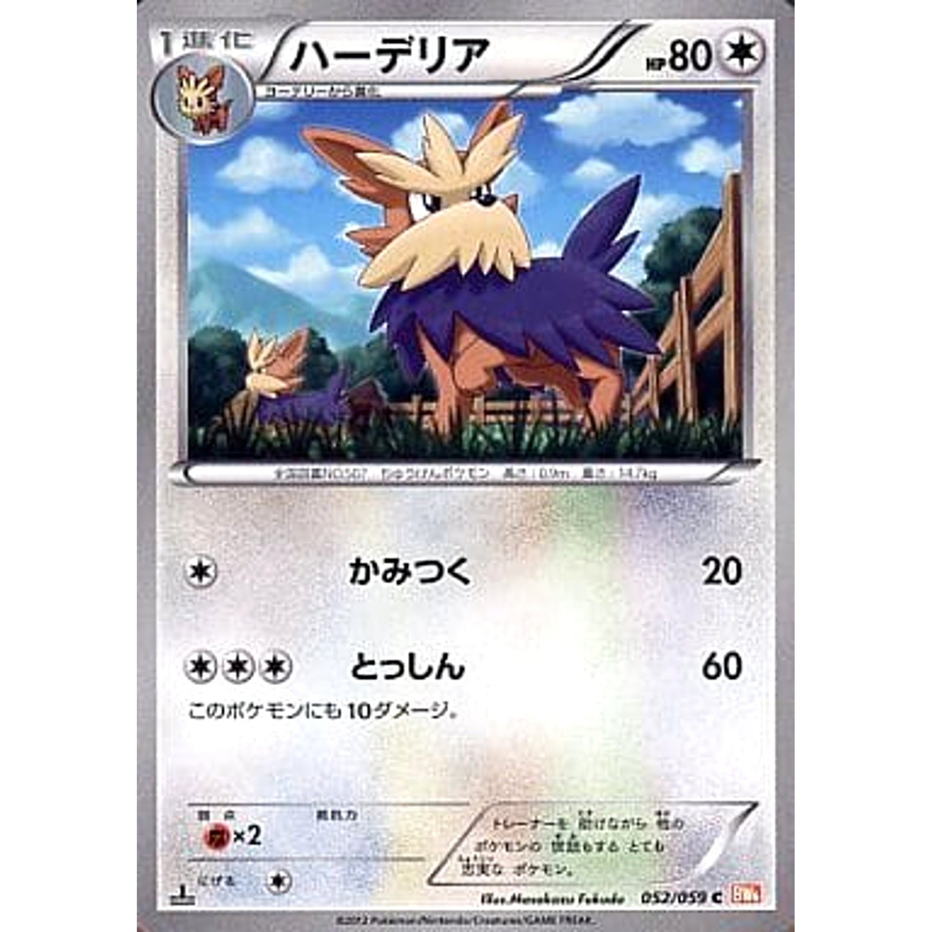 ハーデリア 052/059 [C] BW6 無 ポケモンカードゲームBW 拡張パック コールドフレア