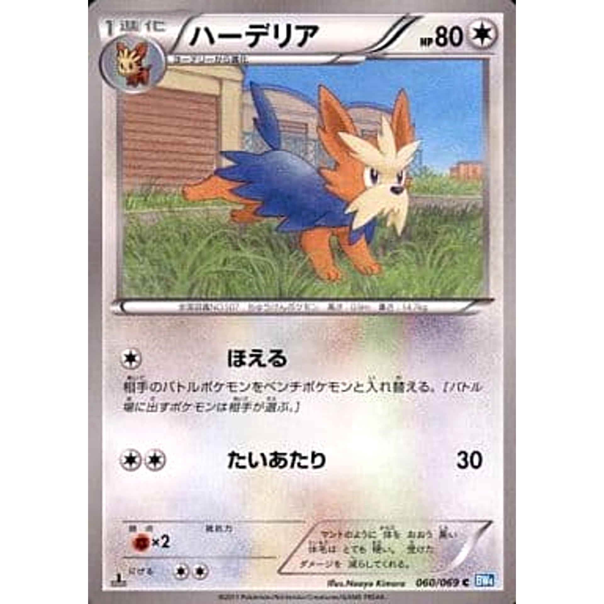 ハーデリア 060/069 [C] BW4 無 ポケモンカードゲームBW 拡張パック ダークラッシュ