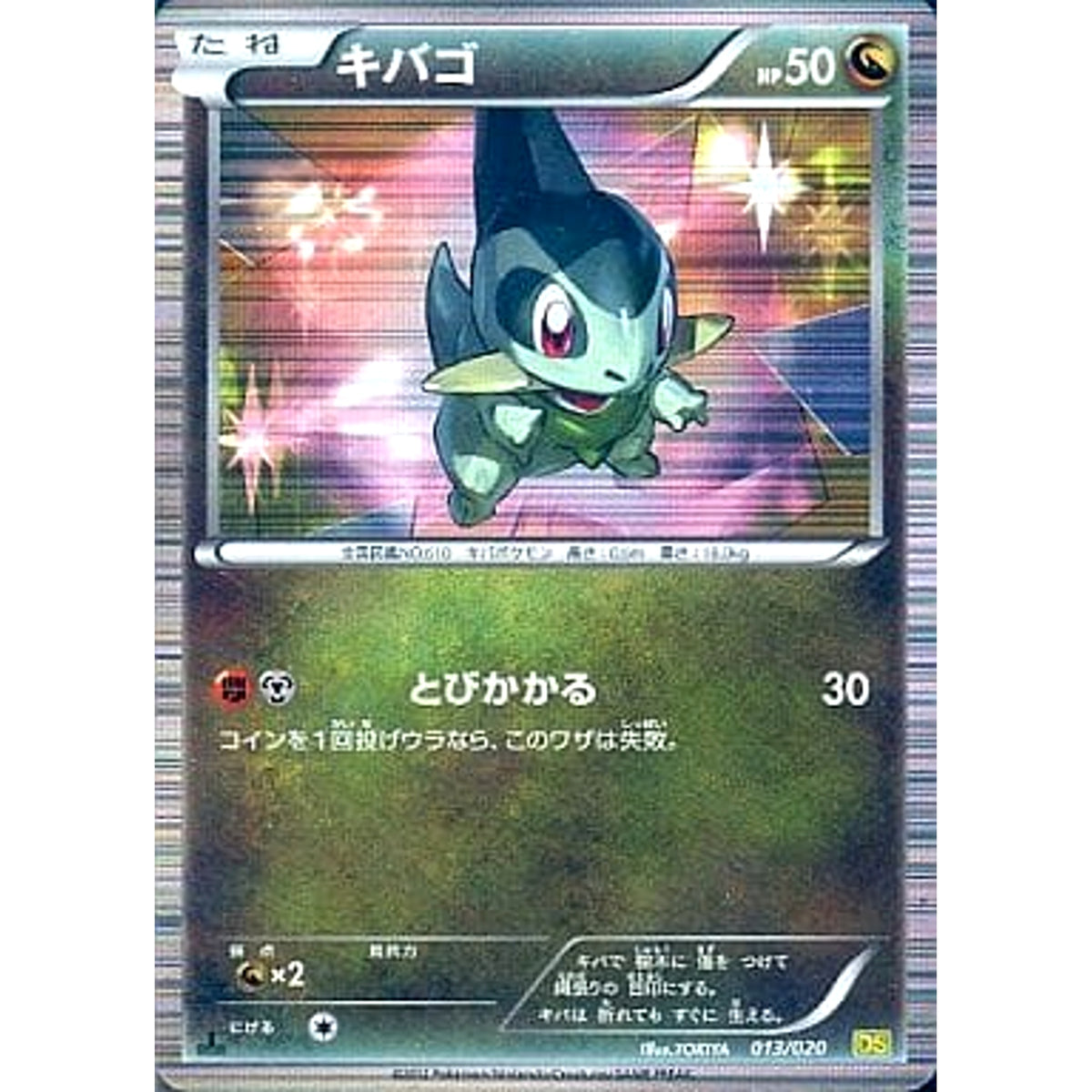 キバゴ 013/020 DS ドラゴン ポケモンカードゲームBW 拡張パック ドラゴンセレクション