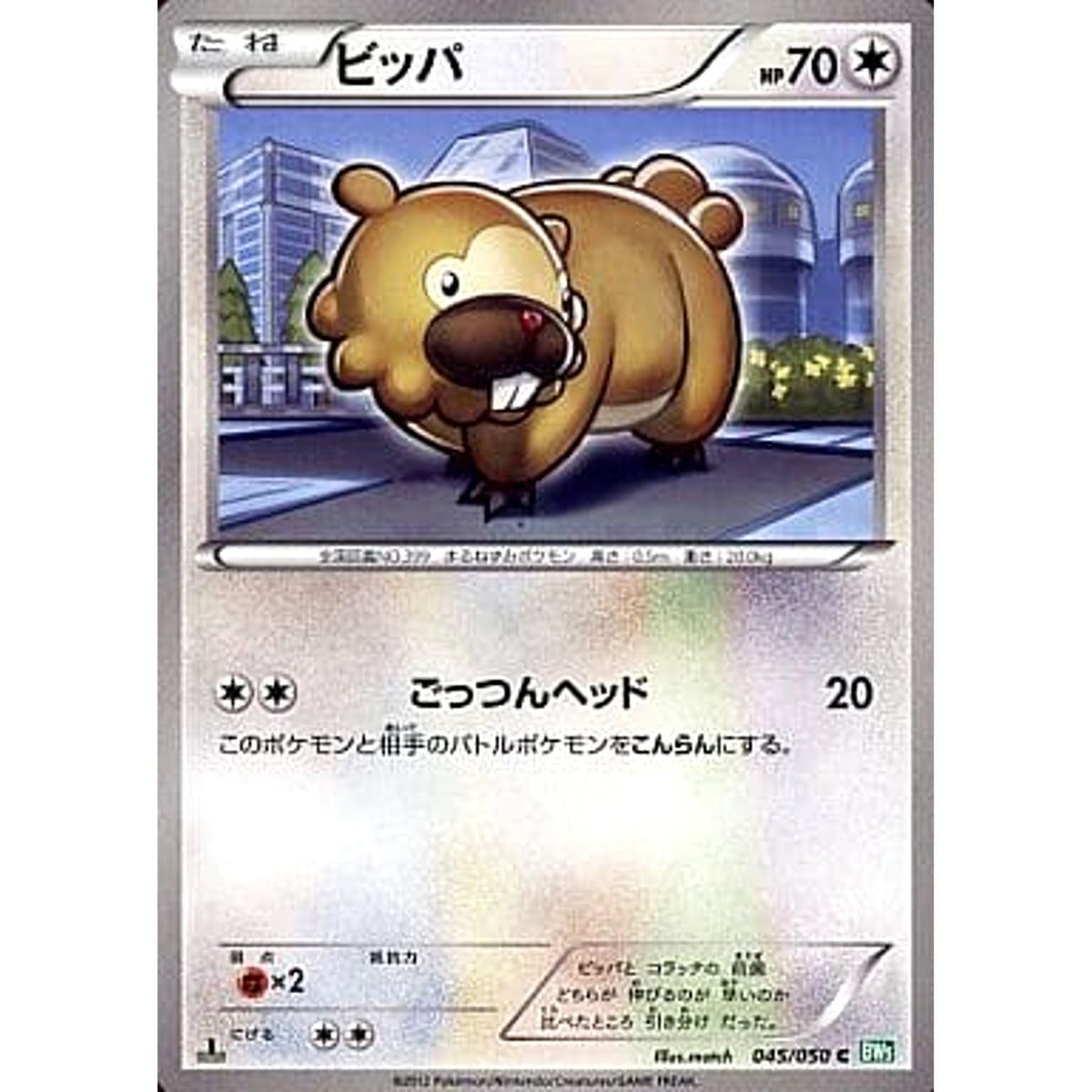 ビッパ 045/050 [C] BW5 無 ポケモンカードゲームBW 拡張パック リューズブラスト