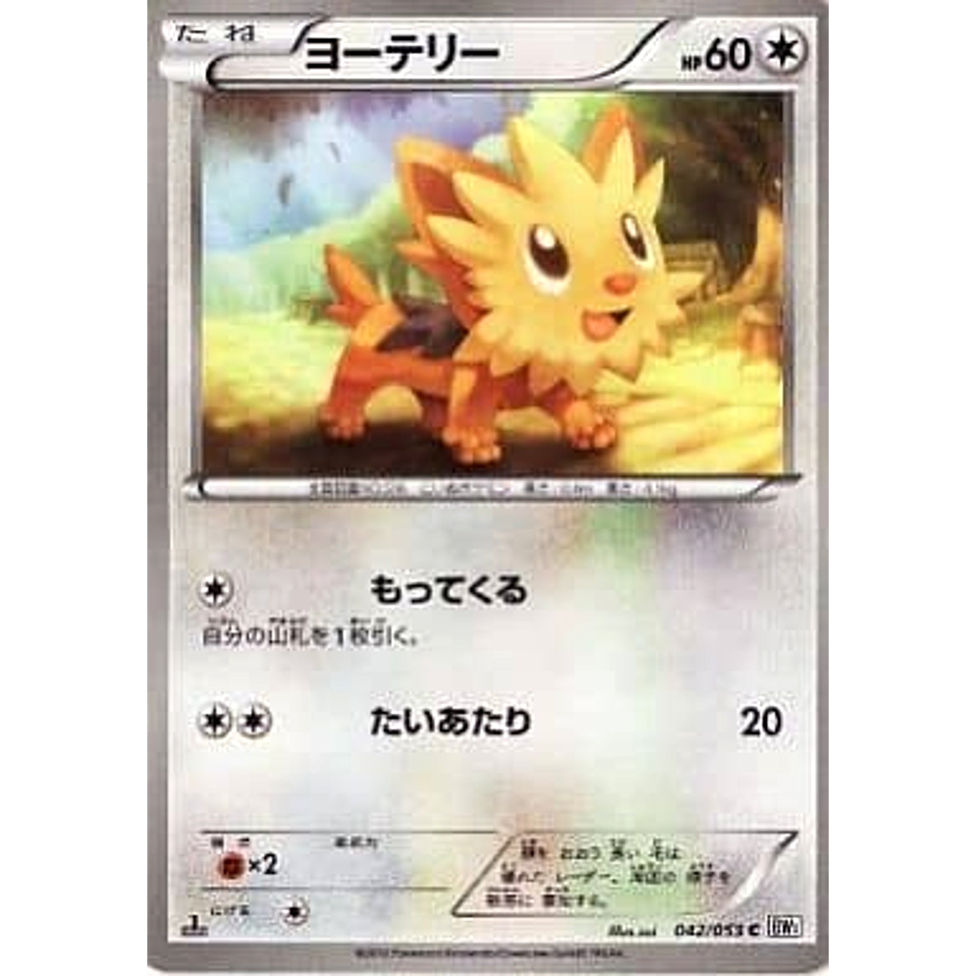 ヨーテリー 042/053 [C] BW1 無 ポケモンカードゲームBW 拡張パック ホワイトコレクション