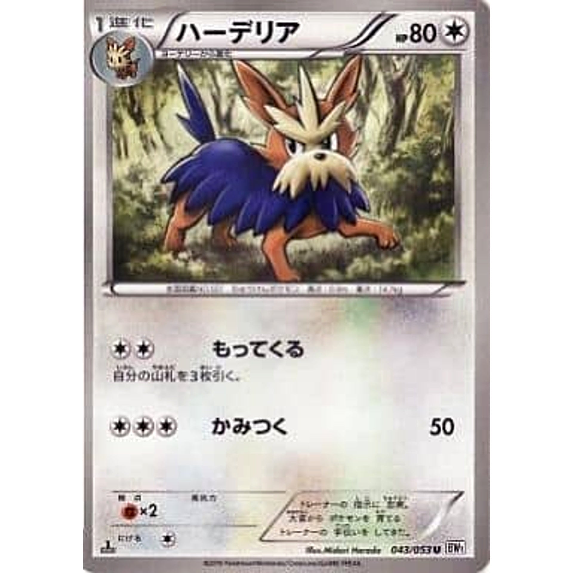 ハーデリア 043/053 [U] BW1 無 ポケモンカードゲームBW 拡張パック ホワイトコレクション