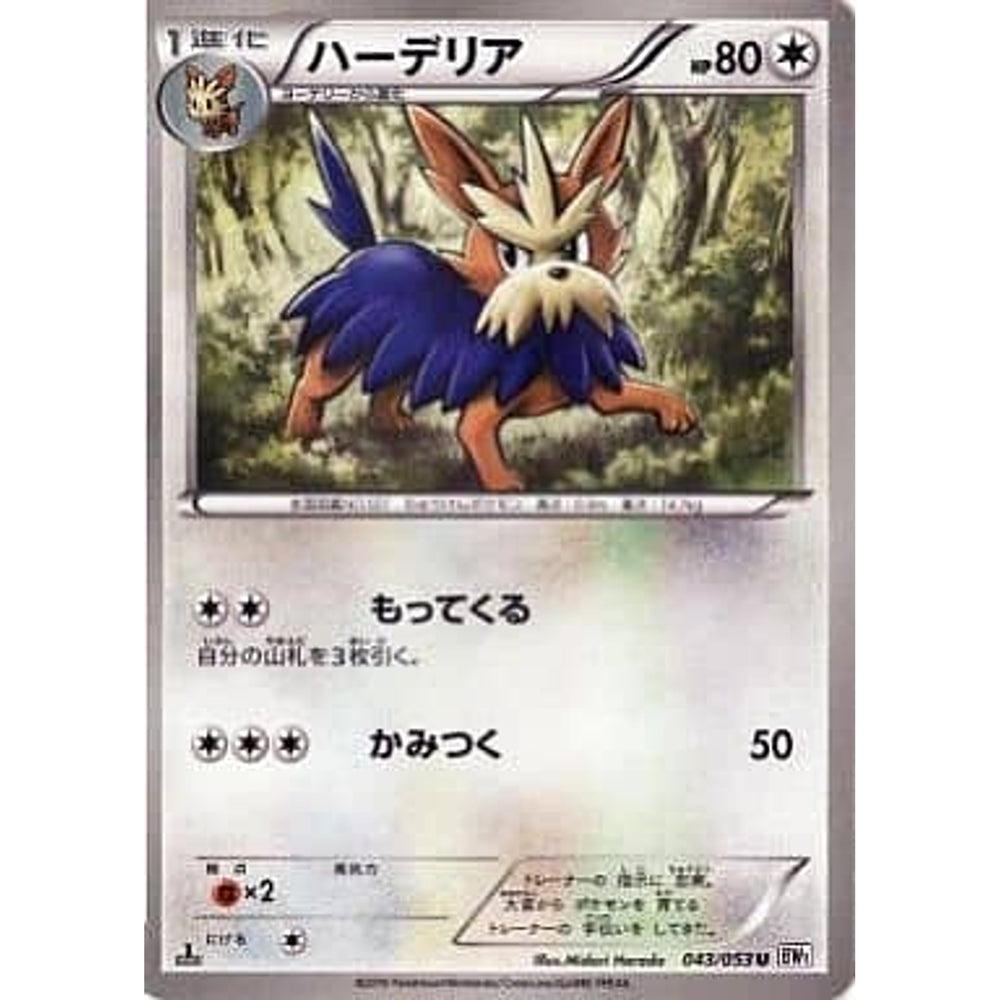 ハーデリア 043/053 [U] BW1 無 ポケモンカードゲームBW 拡張パック ホワイトコレクション