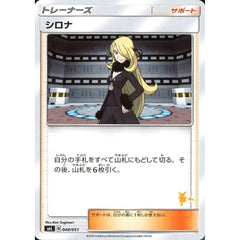 シロナ 048/051 SML サポート ポケモンカードゲーム サン&ムーン ファミリーポケモンカードゲーム