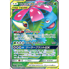 フシギバナ&ツタージャGX (キラ仕様) 065/064 [SR] SM11a 草 ポケモンカードゲーム サン&ムーン 強化拡張パック リミックスバウト