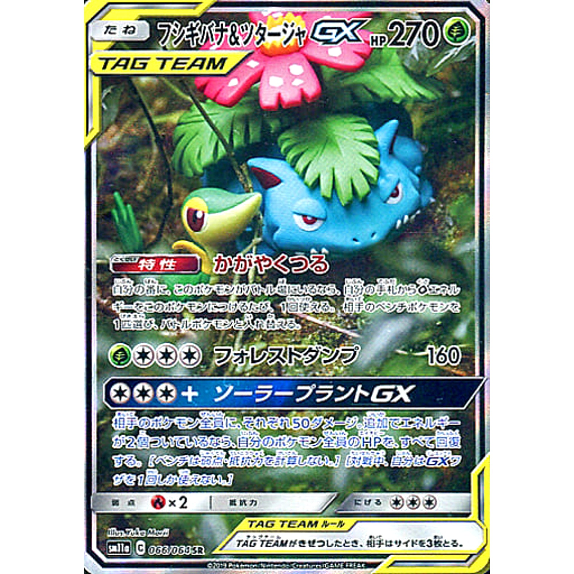 フシギバナ&ツタージャGX (キラ仕様) 066/064 [SR] SM11a 草 ポケモンカードゲーム サン&ムーン 強化拡張パック リミックスバウト
