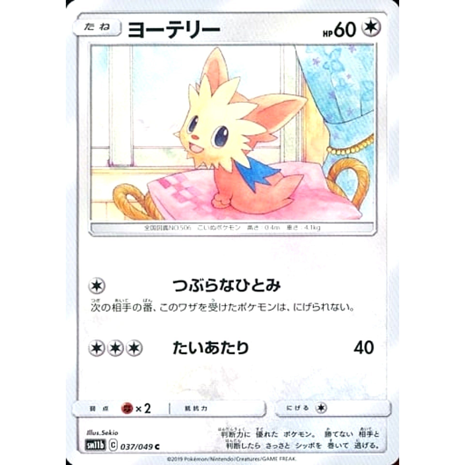 ヨーテリー 037/049 [C] SM11b 無 ポケモンカードゲーム サン&ムーン 強化拡張パック ドリームリーグ