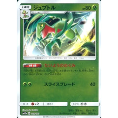 ジュプトル (ミラー仕様) 009/173 SM12a 草 ポケモンカードゲーム サン&ムーン ハイクラスパック TAG TEAM GX タッグオールスターズ
