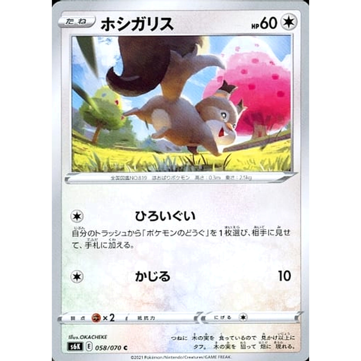 ホシガリス 058/070 [C] S6K 無 ポケモンカードゲーム ソード&シールド 拡張パック 漆黒のガイスト