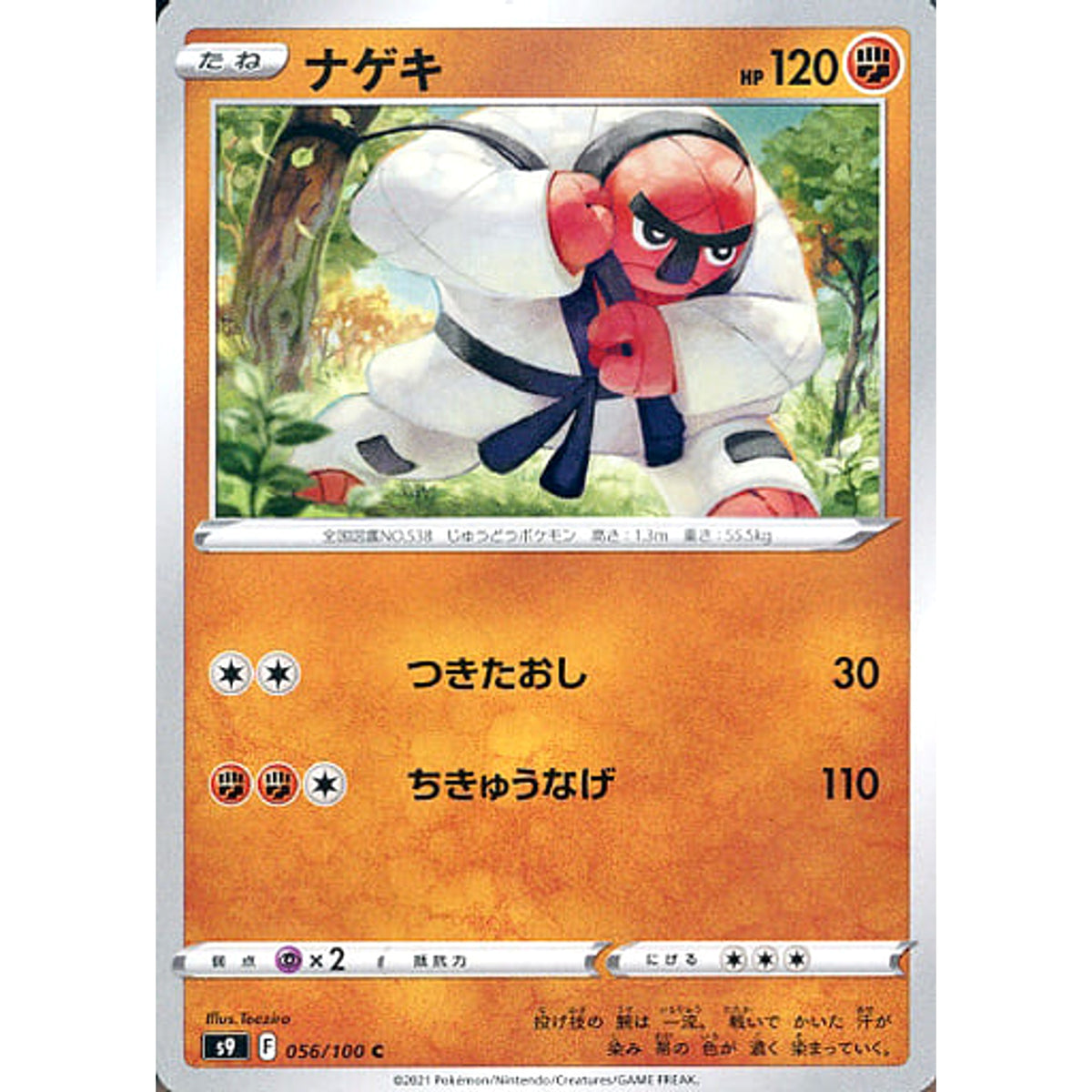 ナゲキ 056/100 [C] S9 闘 ポケモンカードゲーム ソード&シールド 拡張パック スターバース
