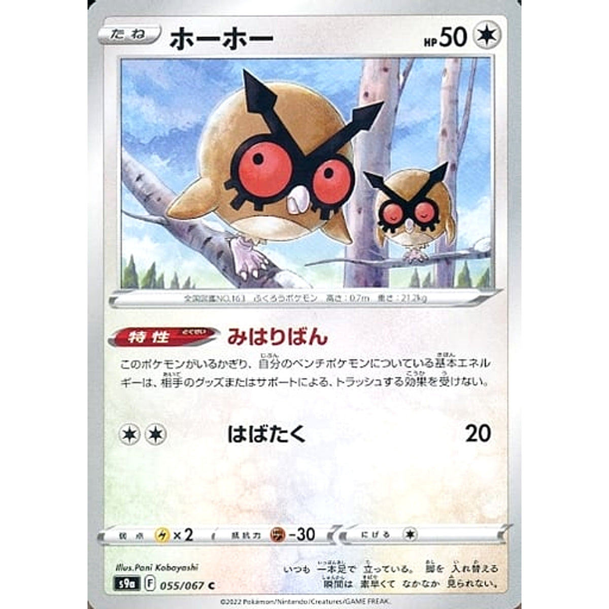 ホーホー 055/067 [C] S9a 無 ポケモンカードゲーム ソード&シールド 強化拡張パック バトルリージョン