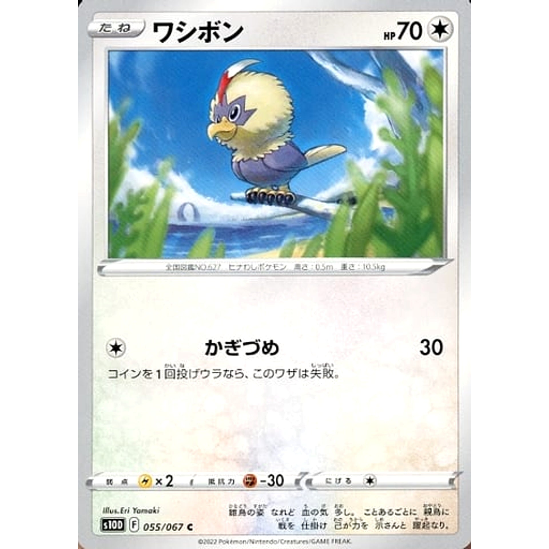 ワジボン 055/067 [C] S10D 無 ポケモンカードゲーム ソード&シールド 拡張パック タイムゲイザー