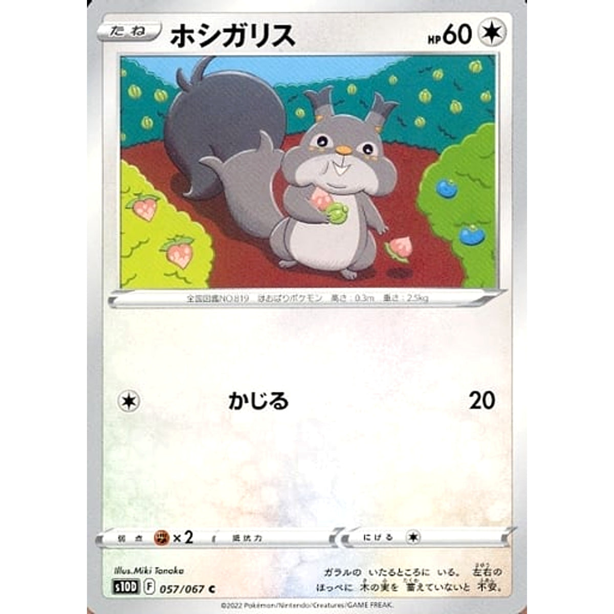 ホシガリス 057/067 [C] S10D 無 ポケモンカードゲーム ソード&シールド 拡張パック タイムゲイザー