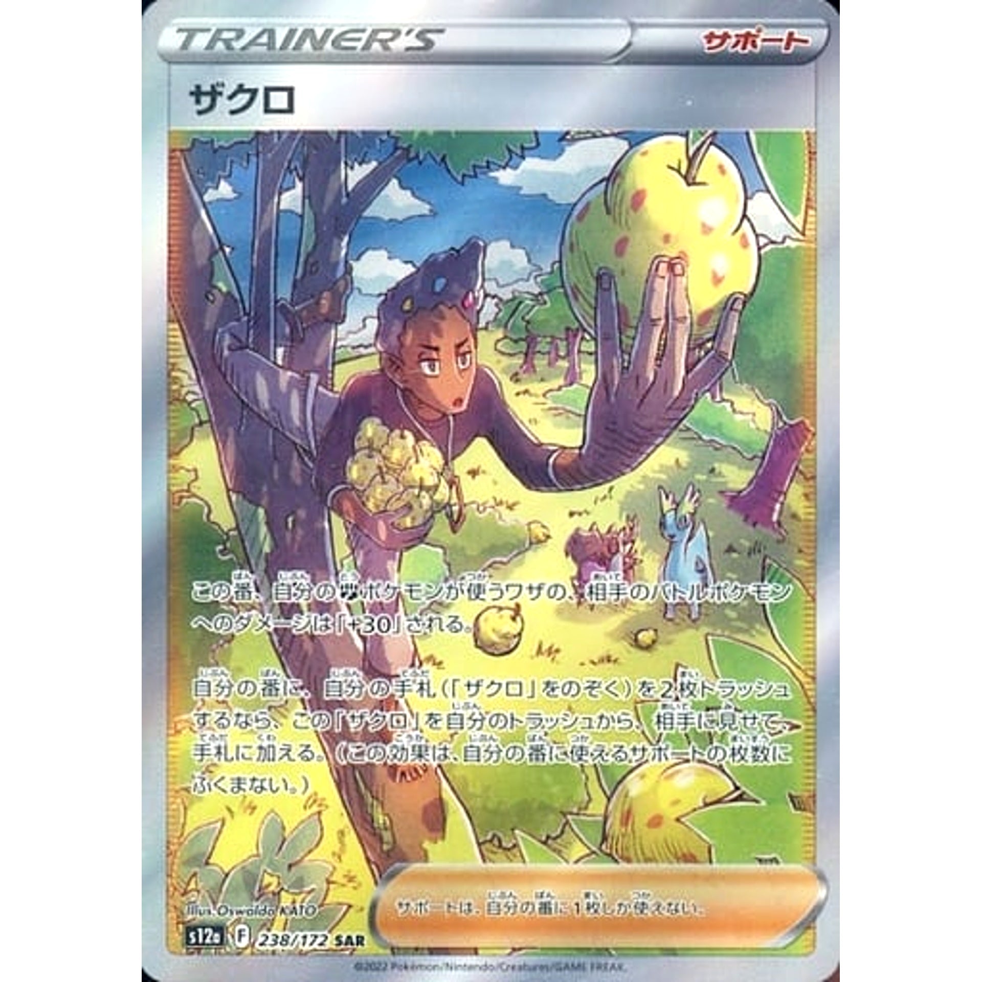 ザクロ (キラ仕様) 238/172 [SAR] S12a サポート ポケモンカードゲーム ソード&シールド ハイクラスパック VSTARユニバース