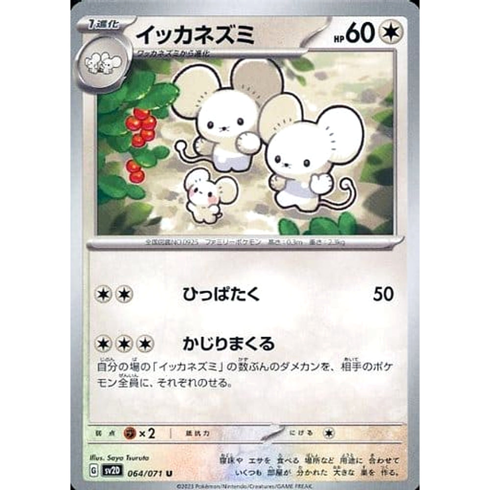 イッカネズミ 064/071 [U] SV2D 無 ポケモンカードゲーム スカーレット&バイオレット 拡張パック クレイバースト