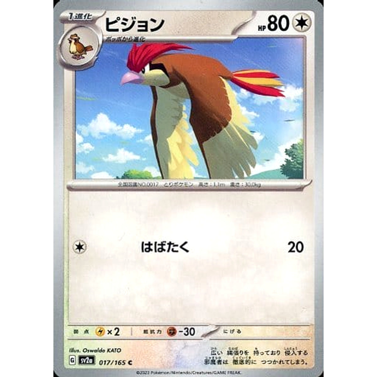 ピジョン 017/165 [C] SV2a 無 ポケモンカードゲーム スカーレット&バイオレット 強化拡張パック ポケモンカード151
