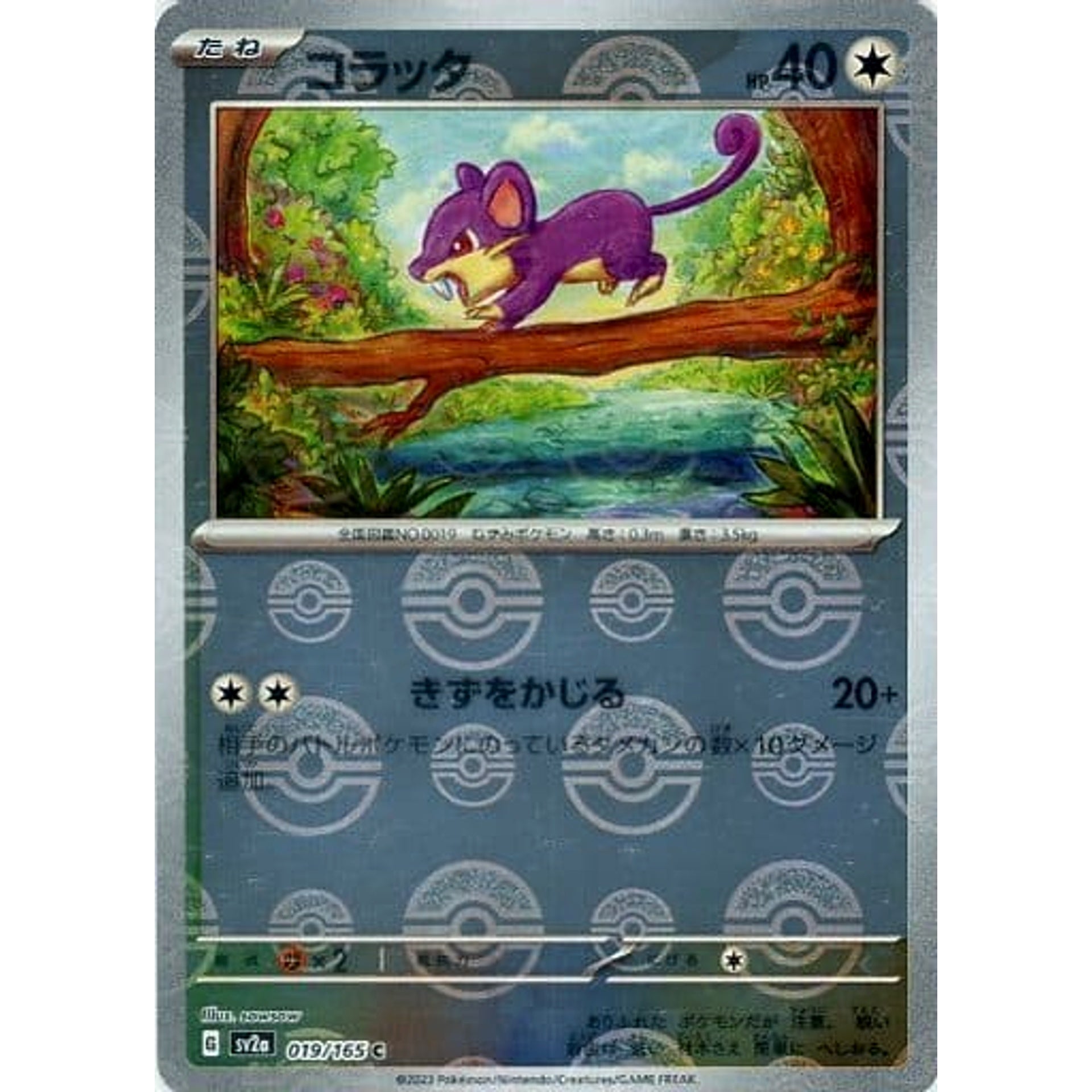 コラッタ (ミラー仕様) 019/165 [C] SV2a 無 ポケモンカードゲーム スカーレット&バイオレット 強化拡張パック ポケモンカード151