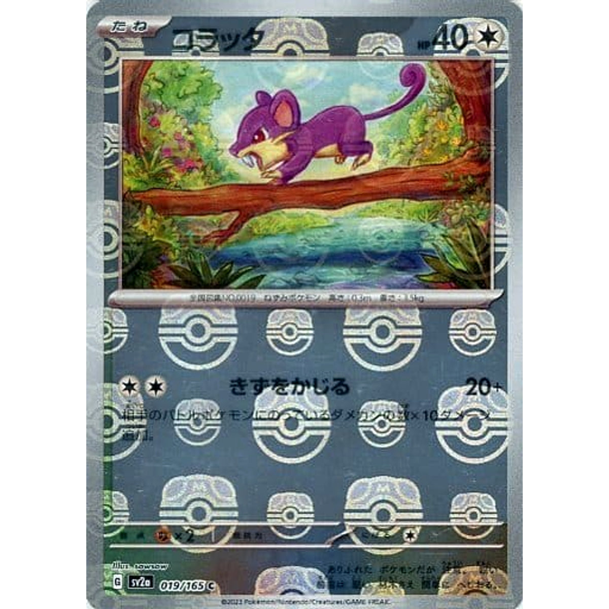 コラッタ (マスターボールミラー仕様) 019/165 [C] SV2a 無 ポケモンカードゲーム スカーレット&バイオレット 強化拡張パック ポケモンカード151