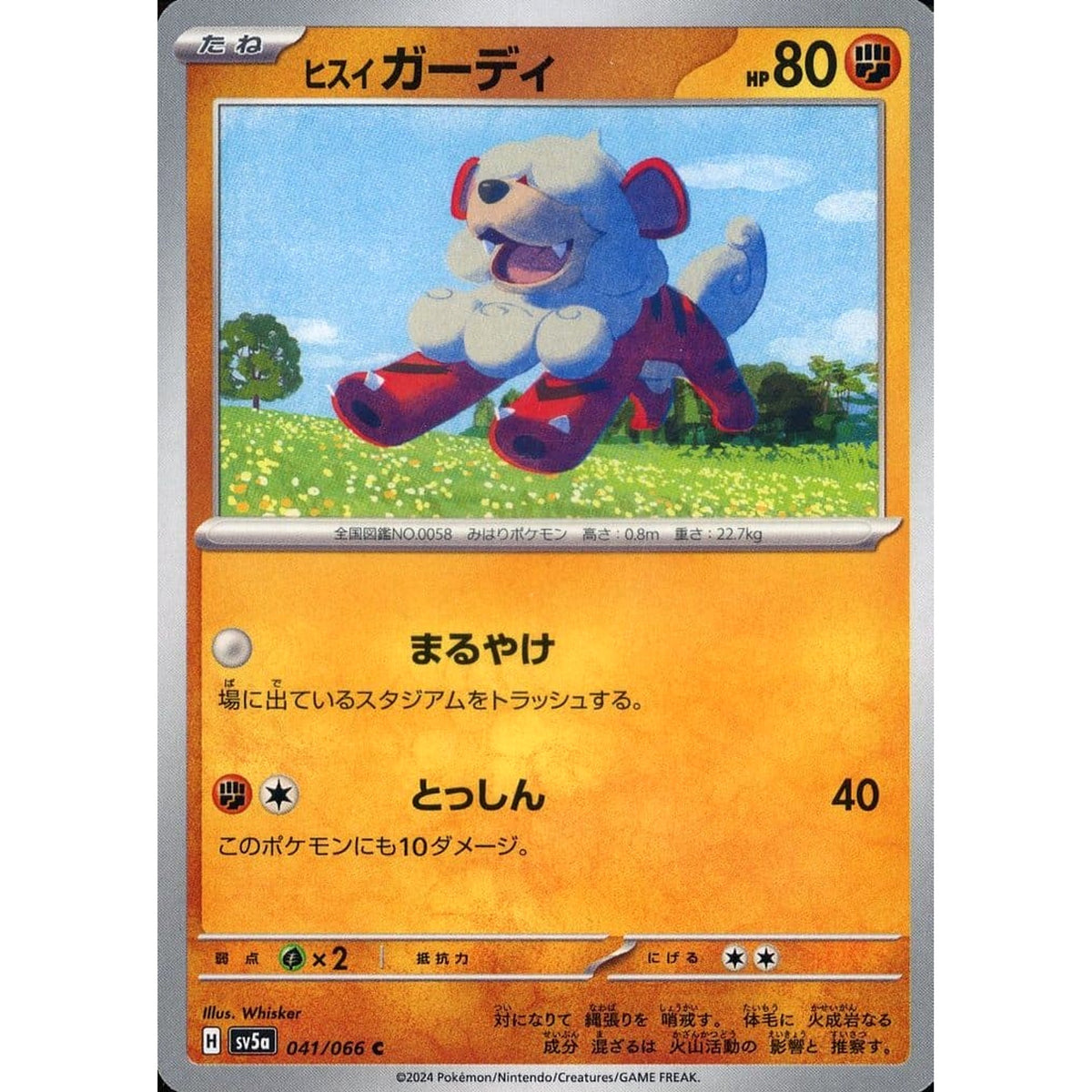 ヒスイ ガーディ 041/066 [C] SV5a 闘 ポケモンカードゲーム スカーレット&バイオレット 強化拡張パック クリムゾンヘイズ
