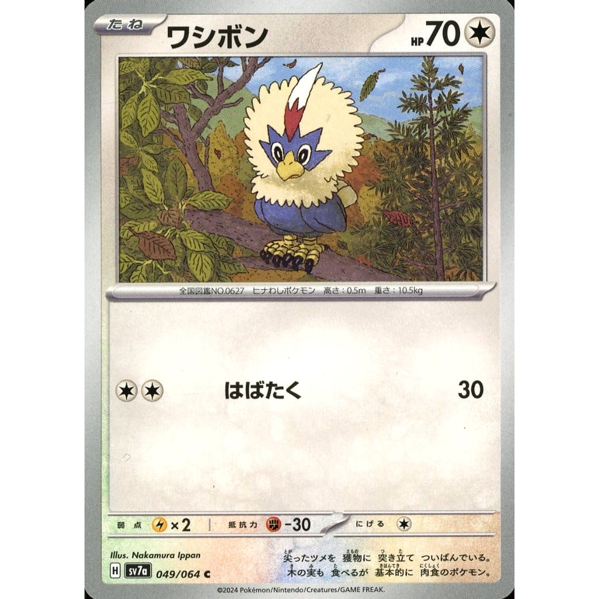 ワシボン 049/064 [C] SV7a 無 ポケモンカードゲーム スカーレット&バイオレット 強化拡張パック 楽園ドラゴーナ