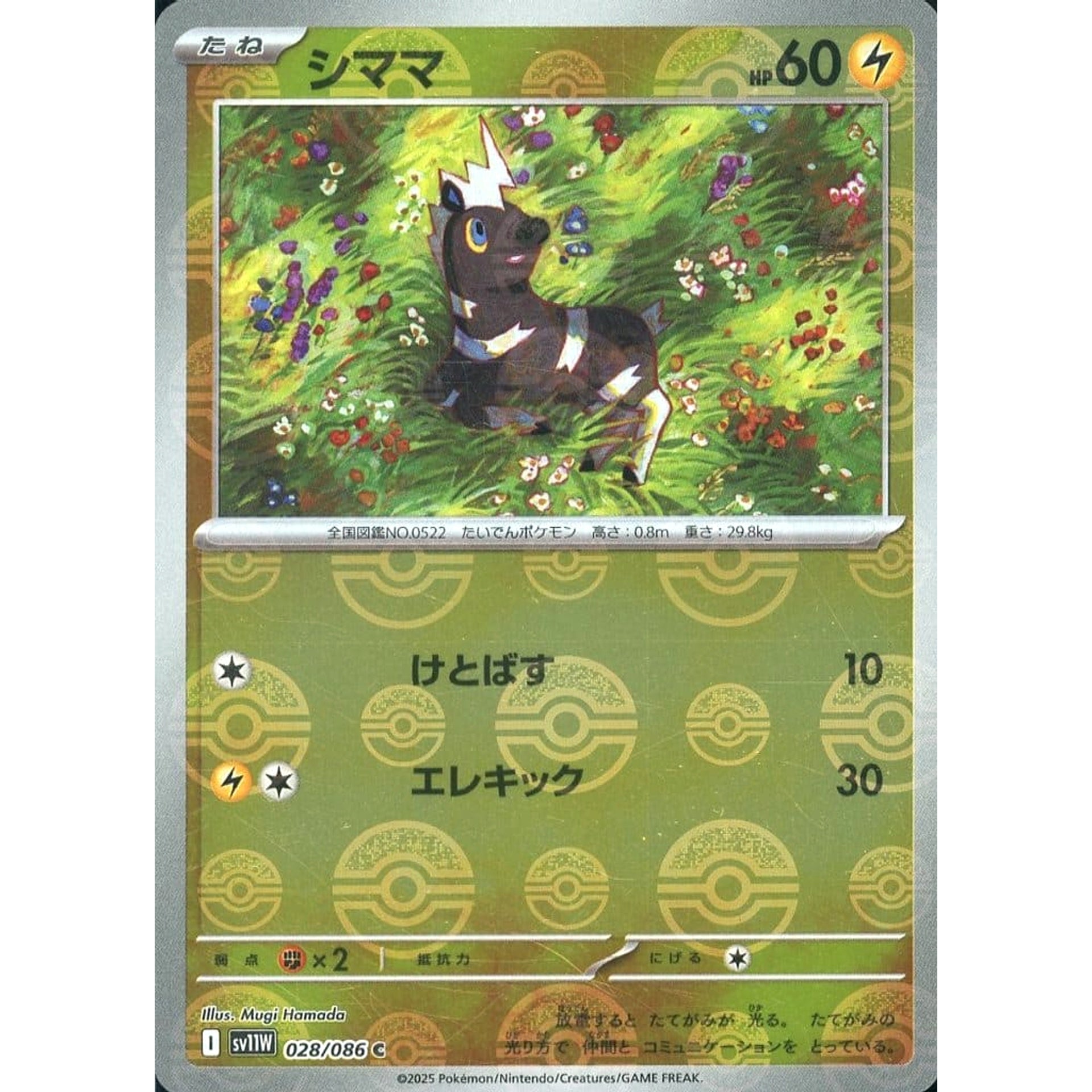 シママ (ミラー仕様) 028/086 [C] SV11W 雷 ポケモンカードゲーム スカーレット&バイオレット 拡張パック ホワイトフレア