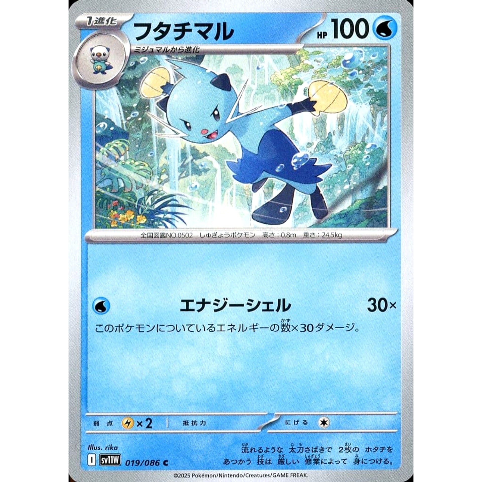 フタチマル 019/086 [C] SV11W 水 ポケモンカードゲーム スカーレット&バイオレット 拡張パック ホワイトフレア