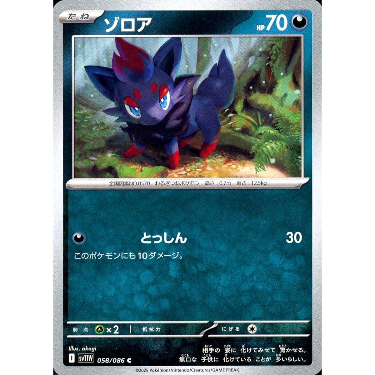 ゾロア 058/086 [C] SV11W 悪 ポケモンカードゲーム スカーレット&バイオレット 拡張パック ホワイトフレア