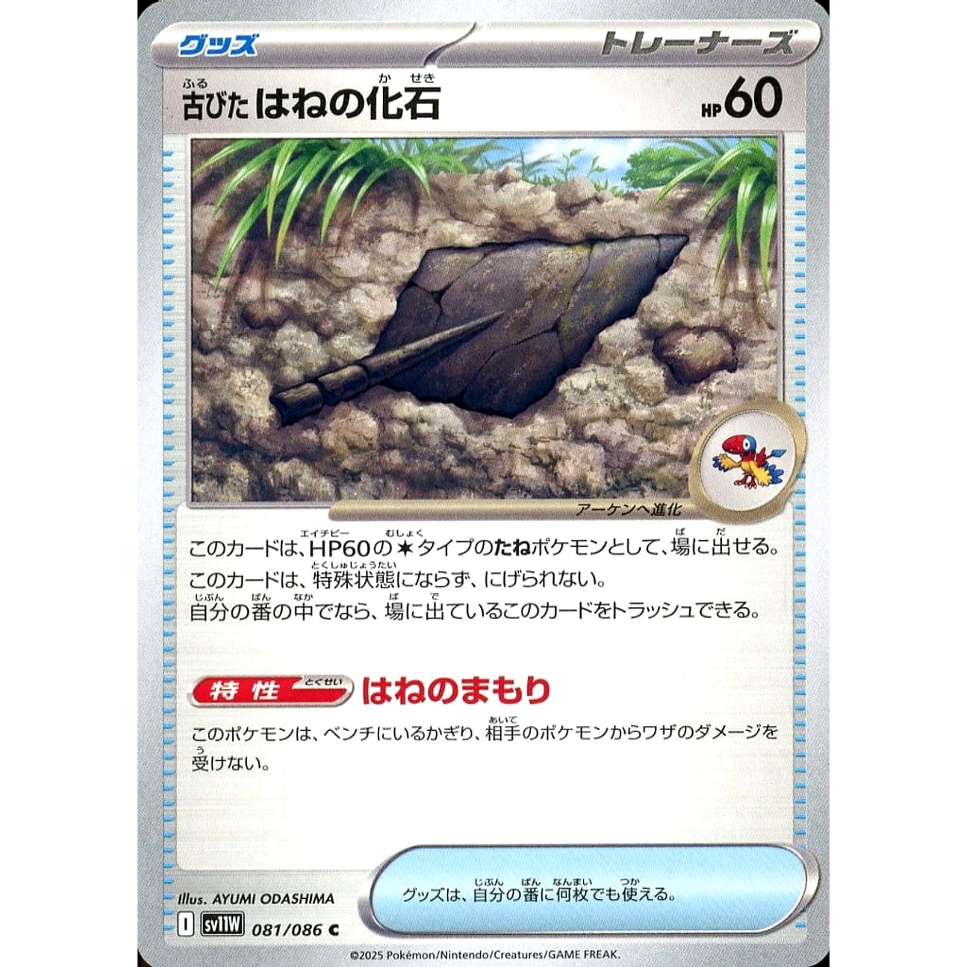 古びたはねの化石 081/086 [C] SV11W グッズ ポケモンカードゲーム スカーレット&バイオレット 拡張パック ホワイトフレア